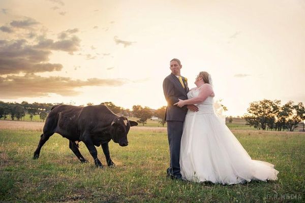Ці 20 весільних фотографій були зафотобомблені так добре, що ми не можемо перестати сміятися. Від пари корів до дитячого поцілунку.