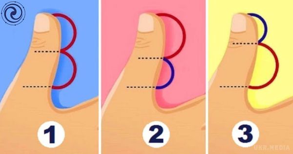 Ось що довжина вашого великого пальця може розповісти про ваше особисте життя!. Подивіться на цей малюнок і виберіть той варіант, який нагадує вам ваш великий палець!