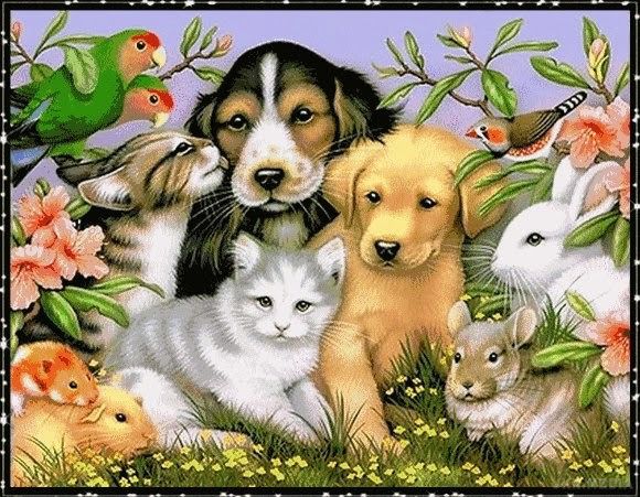 30 листопада - Всесвітній день домашніх тварин. Ти назавжди у відповіді за тих, кого приручив - девіз Дня.