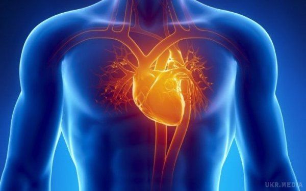 Від печінки до серця і мозку: як часто оновлюється наш організм. Всі частини організму складаються з клітин, яких у тілі дорослої людини близько 100 трильйонів.
