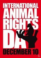10 грудня - Міжнародний день акцій за прийняття Декларації прав тварин (Міжнародний день прав тварин). ВСІ живі істоти на нашій планеті мають право на життя та захист від страждань .