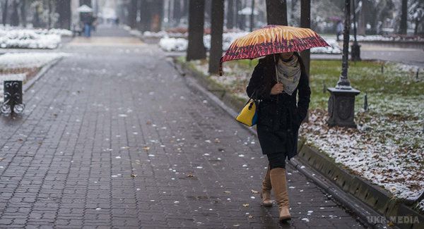 Прогноз погоди в Україні на 11 грудня: тепло, дощі з мокрим снігом. На початку тижня в Україні прийшло потепління.