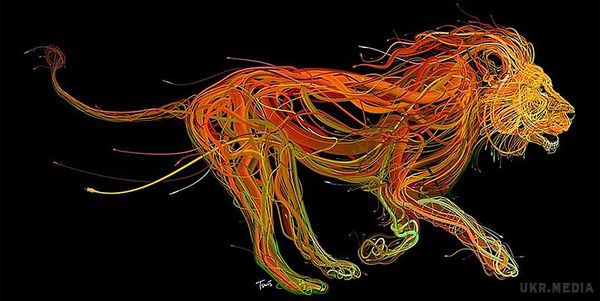 Чудові ілюстрації тварин і людей, зроблені з проводів (Фото). Ці роботи з проводів створює візуальний дизайнер з Греції – Charis Tsevis.
