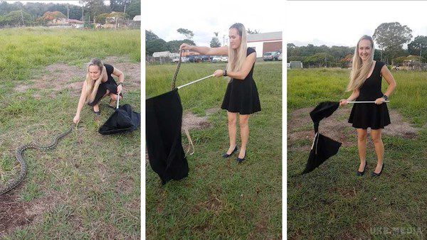 Гламурна українка в міні-сукні приборкала 2,5-метрову змію (відео). Дівчина зазначила, що це "звичайний день в Австралії".