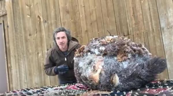 Інтернет підірвало унікальне відео з останками замороженого єті, вбитого майже сто років тому, - кадри. В це неможливо повірити.