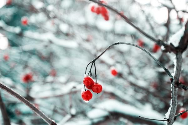Прогноз погоди в Україні на сьогодні 18 грудня: похолодання і штормовий вітер, місцями сніг. В Україні 17 грудня очікується похолодання і штормовий вітер, місцями сніг.