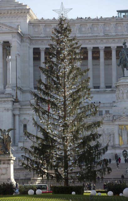 У Римі кепкують над "лисою" різдвяною ялинкою. Головна ялинка Рима, встановлення якої коштувало міському бюджету 50 тисяч євро, стала предметом насмішок і кепкувань серед місцевих жителів та гостей