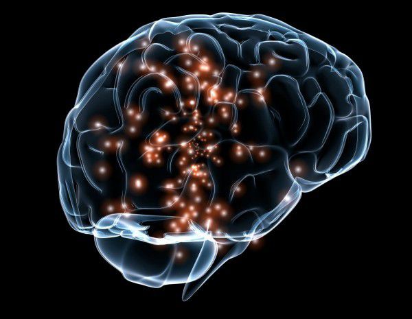 Вчені спростували, що ліва півкуля мозку причетна до вивчення мов. Асиметрія планарної тимчасової частини, де є слухові функції, це не ознака зв'язку лівої півкулі з умінням вивчати мову.