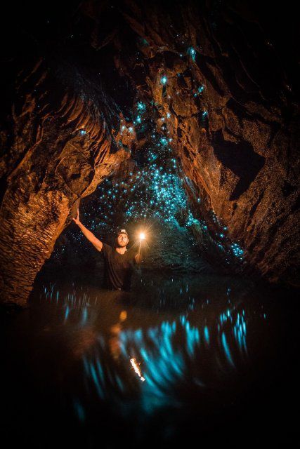 Мінімалістичні фото з печер, від яких перехоплює дух. Фотограф знімає чарівні вогники у печерах Нової Зеландії, і це варто побачити!