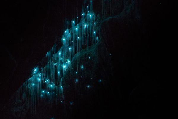 Мінімалістичні фото з печер, від яких перехоплює дух. Фотограф знімає чарівні вогники у печерах Нової Зеландії, і це варто побачити!