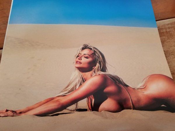 Модель Playboy знялась оголеною для власного календаря. Американська модель Playboy Ліндсі Пелас з 8-м розміром бюсту роздяглась для власного календаря на 2019 рік.
