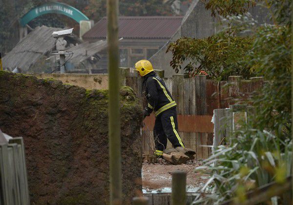 У лондонському зоопарку сталася масштабна пожежа. Відзначається, що жертв серед тварин немає, проте одне з них під час евакуації загубилося.