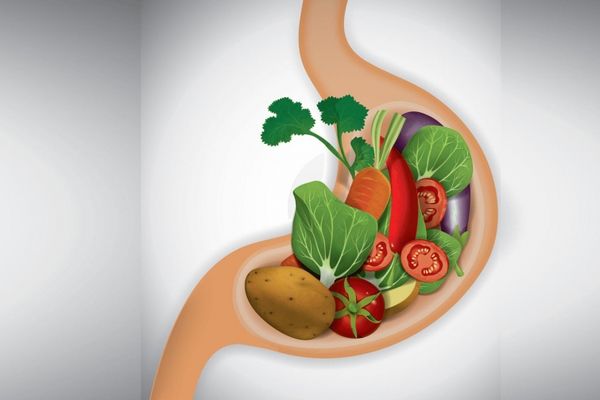 22 факти про кишечник або чого ми ще не знали про травну систему. Доросла людина з'їдає приблизно 907 кілограмів їжі в рік.
