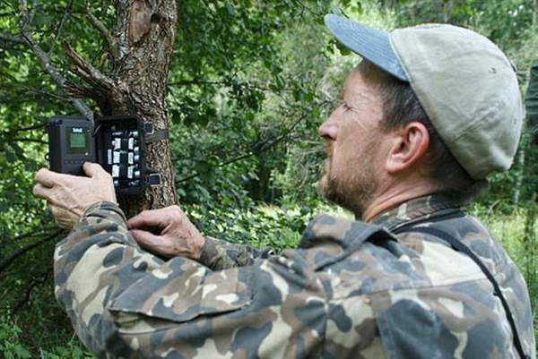 30 фото з лісів Чорнобиля. Фотокамери фіксують неймовірні речі!. Завдяки цій людині світ дізнався, які тварини мешкають в 30 кілометровій зоні Чорнобиля