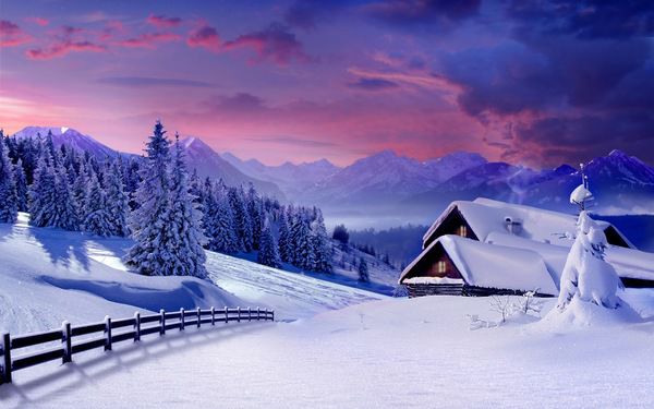 28 грудня - Трифонов день