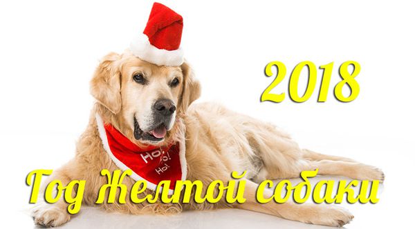 Три головні якості жовтої земляної Собаки. Зустрічаємо 2018 рік. рік жовтої земляної Собаки.