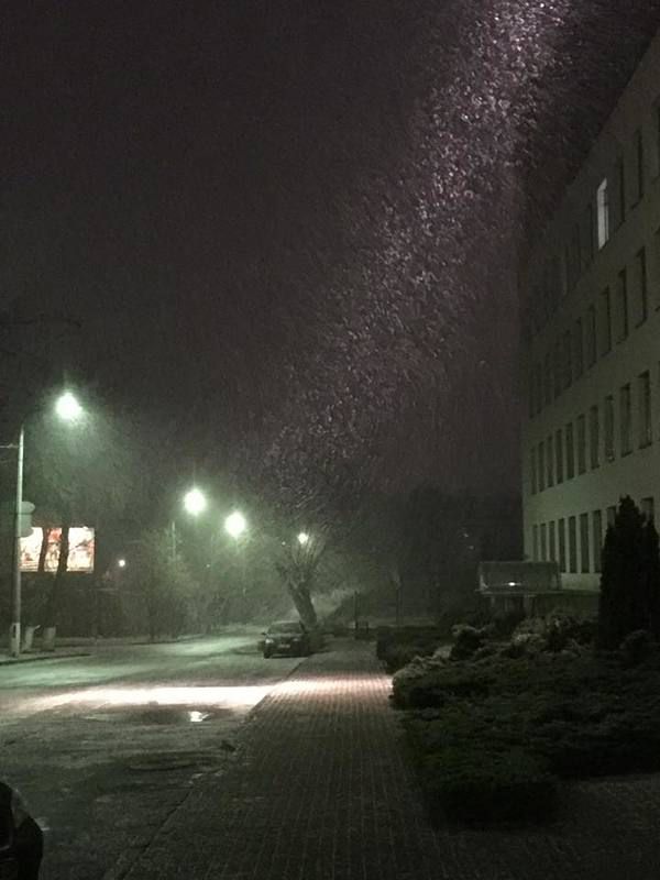 Перед новорічною ніччю в Києві пішов сніг. Соцмережі відреагували на подарунок природи киянам