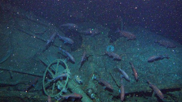 В океані "спливла" зникла більше століття тому субмарина. Австрійський підводний човен знайшли після більш ніж ста років пошуків