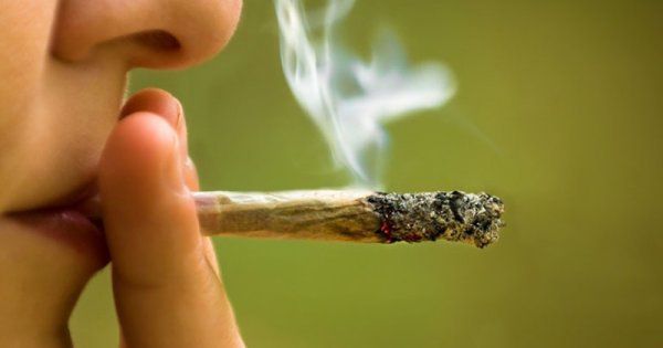 У Каліфорнії зняли величезні черги за марихуаною. Відомо, що з 1 січня в штаті офіційно дозволено споживання канабісу.