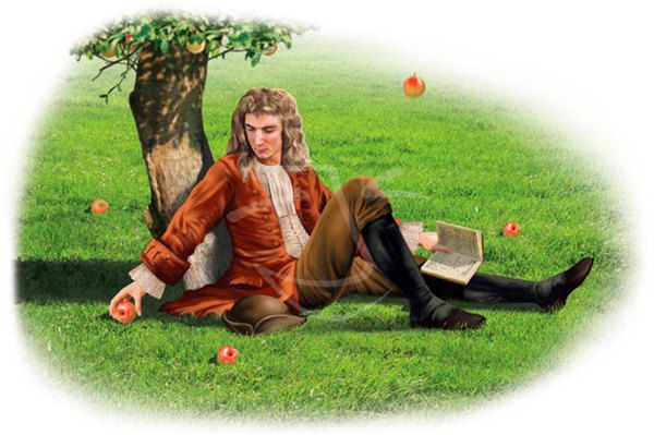 4 січня - День Ньютона. Цікаво, що розповідь про падаючому з дерева яблуко, яке Ньютона навело на роздуми про вільне падіння тіл, вважається правдивим.
