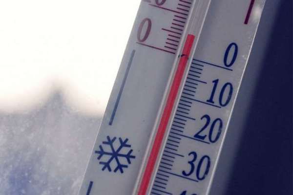 У Києві за рік нарахували 24 температурних рекорди. Середня температура минулого року в Києві становила +9,8°С, що на 2,1°С перевищує кліматичну норму.