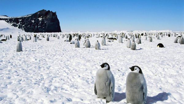 Дивна активність сколихнула Антарктиду. Під масивним крижаним панциром в Антарктиді вчені виявили аномалію, і від неї виходять потужні гравітаційні імпульси