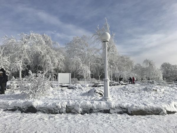 У Флориді вперше за майже 29 років випав сніг. У Джорджії, Вірджинії та Північній Кароліні вже оголосили надзвичайний стан.