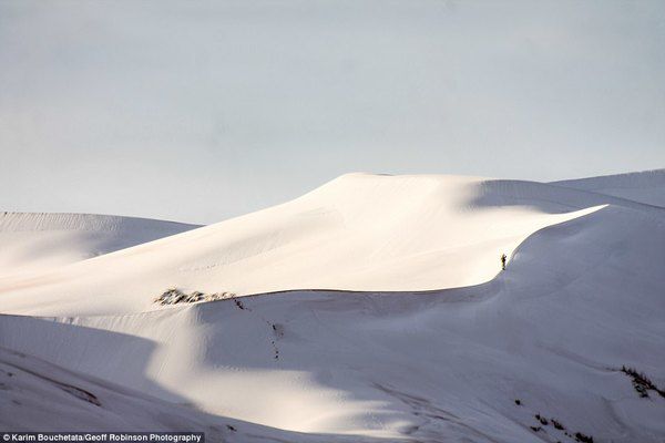 Сахару раптово засипало снігом. У пустелі Сахара другий рік підряд раптово випав сніг