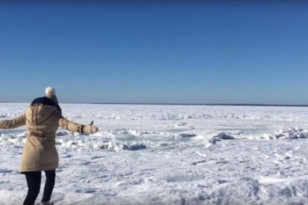 Біля Штатів втретє за 80 років замерз океан: унікальне відео. Океан біля узбережжя півострова Кейп-Код у Північній Америці вкрився кригою.