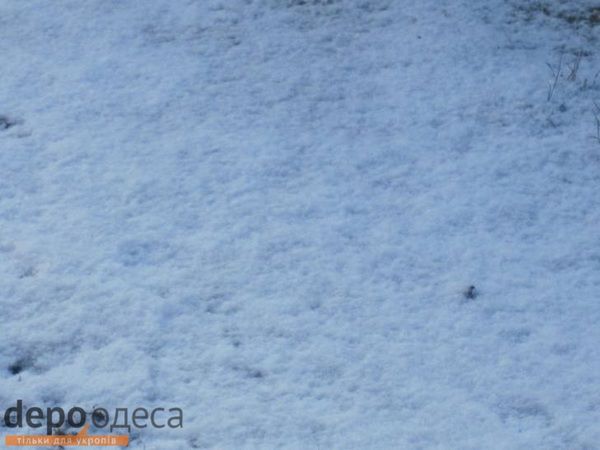 Дочекалися: До Одеси та області прийшла справжня снігова зима. В цьому році одесити нарешті побачили справжній сніг.