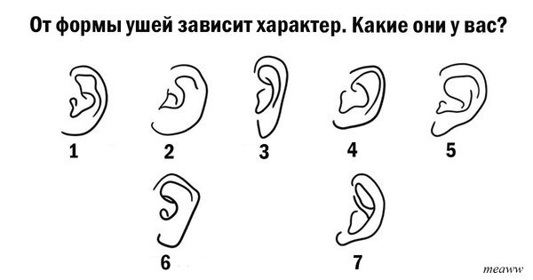 Ось що форма вух може розповісти про вашу особистість. Такого ви ще не чули!