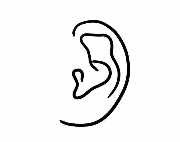 Ось що форма вух може розповісти про вашу особистість. Такого ви ще не чули!