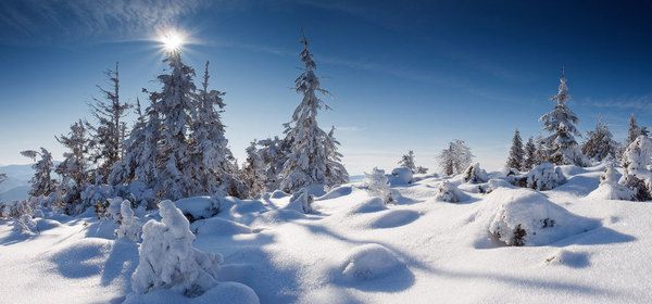 Народний синоптик: у лютому Україну чекає мінус 20. До кінця січня нижче -10 температура не опуститься, а в наступному місяці нас чекають погодні гойдалки – то суворі холоди, то відлига.