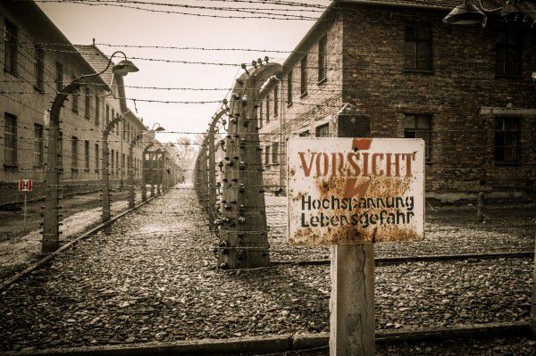 Польський суд виніс вирок учасникам «оголеної акції» в Освенцімі. Протестувальників засудили до позбавлення волі та штрафів.