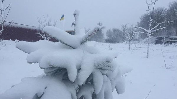 Одеська область в " білій блокаді". Негода з ночі 17 січня бушує в Одеській області. 