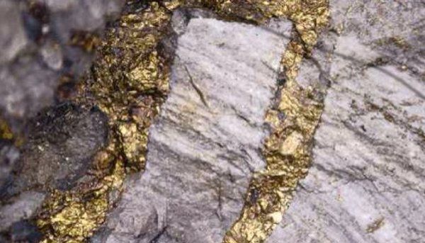 В Україні знайшли кілька родовищ золота, запас яких оцінюють в тоннах. Вагомий результат отримано по пошуковій оцінці рудопроявів золота в Рахівському районі Закарпатської області.