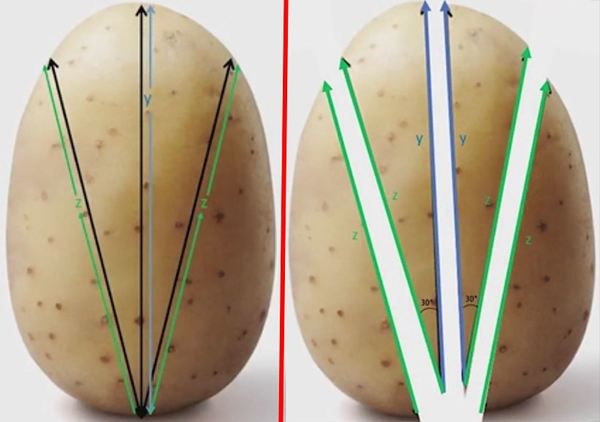 Фахівці знайшли спосіб нарізки картоплі для ідеальної прожарки!.  Нарізка картоплі під кутом 30 градусів дозволить прожарити його до ідеальної золотистої скоринки.