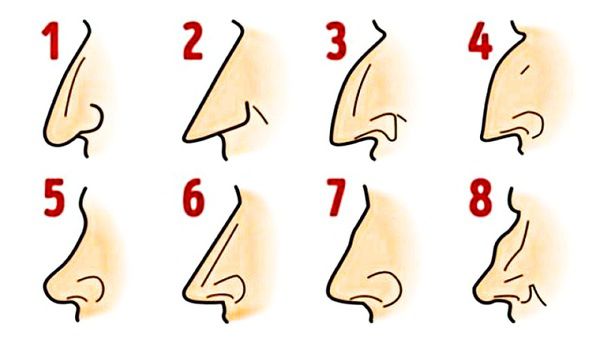 Що ніс може розповісти про характер людини. Мало хто здогадується, що по-справжньому може означати форма носа.
