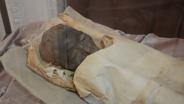 Жах - жінка застрягла між стін, та з часом перетворилася в мумію. 61-річна Мері Стюарт Серрути пропала безвісти у 2015 році, і лише через три роки її вдалося знайти.