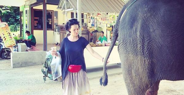 Співачка Даша Астаф'єва осідлала слона. Співачка Дарія Астаф'єва поділилася екзотичними фото зі слоном.