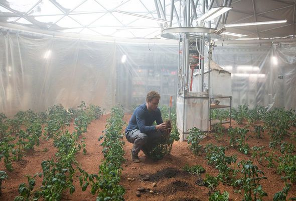 Коли можна буде збирати врожай на Марсі. Виростити повноцінний урожай на Червоній планеті можна буде через 30 років.