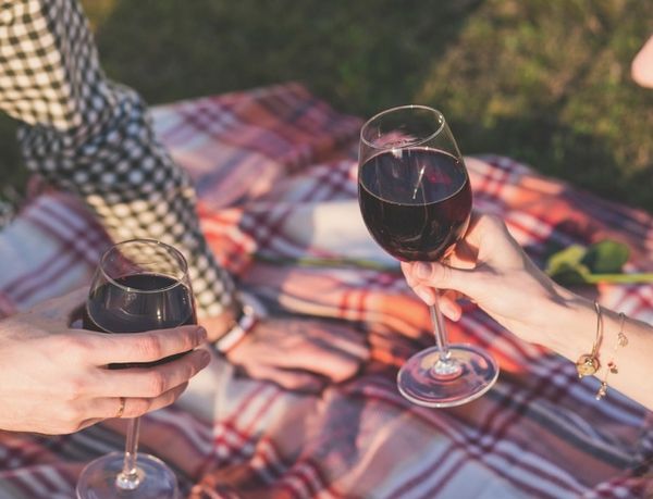 Стало відомо, що буде з організмом, якщо пити вино щодня. Результати дослідження про вино: що буде з організмом, якщо пити вино кожен день.