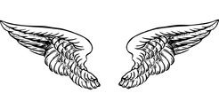 Який Архангел допомагає вам у житті?. Виберіть одну пару ангельських крил, щоб дізнатися, який з Архангелів працює з вами