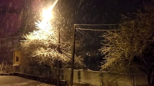 Львівщину знову засипає снігом (відео). В області розпочався снігопад.