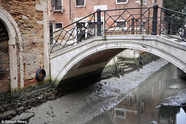 Знамениті канали Венеції висохли - і тепер по них можна ходити пішки!. Повний місяць + посуха зробили свою справу.