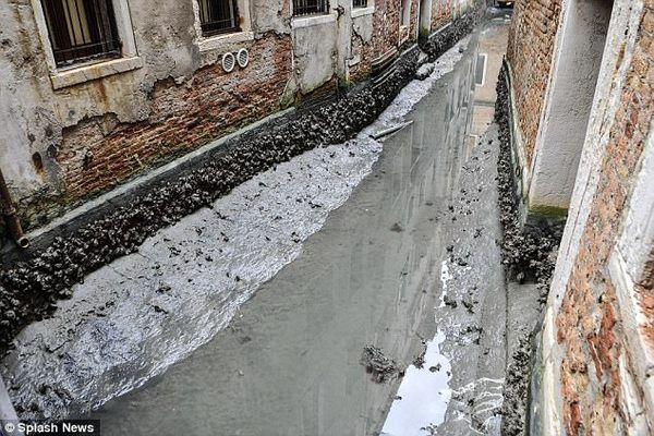Знамениті канали Венеції висохли - і тепер по них можна ходити пішки!. Повний місяць + посуха зробили свою справу.