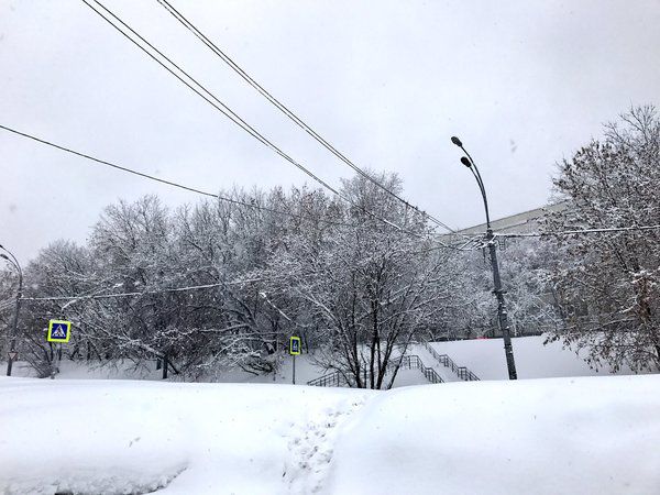 Росію накрили потужні снігопади: є жертви. У столиці Росії через раптові снігопади п'ятеро осіб отримали травми, є один загиблий