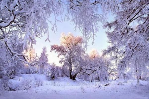 Народні прикмети: 5 лютого - день Агафія. Що має знати кожен. Багато снігу лежить на землі 5 лютого - прикмета того, що рік буде врожайним.
