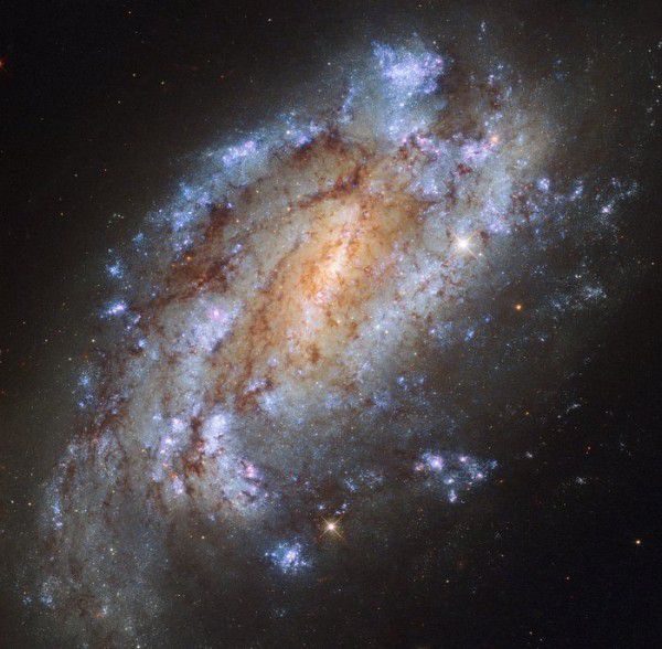 Hubble зробив фото далекої неймовірно красивої самотньої галактики. Вона відома під назвою NGC 1559.