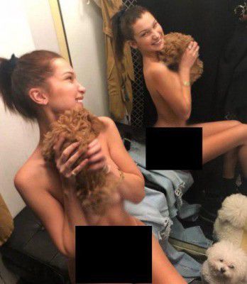 Модель Беллу Хадід засудили за прикриття оголених грудей цуценям (фото). Відповідний знімок опублікували в Instagram.